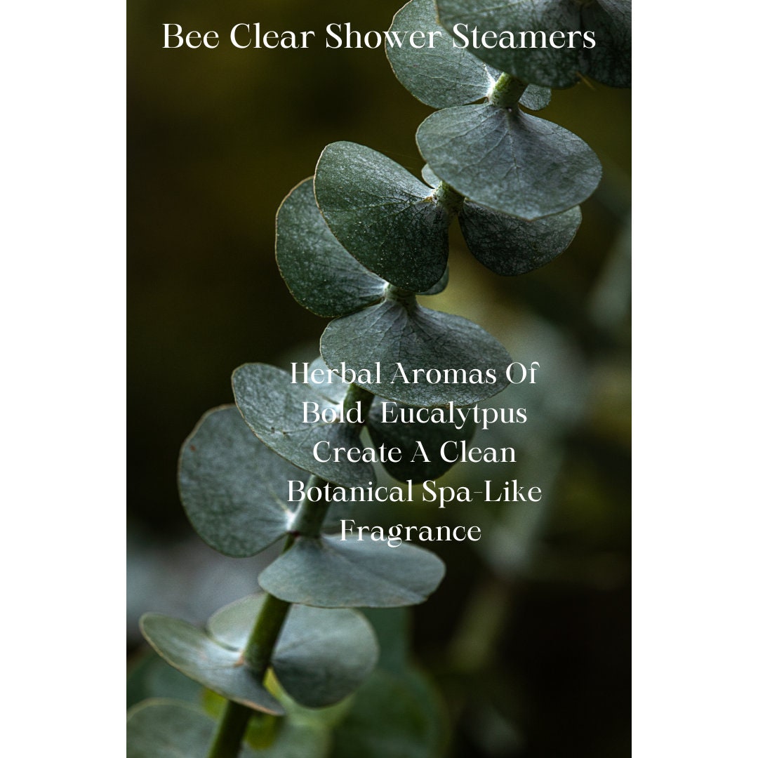 Bee Clear Shower Steamers-4/pack Menthol + Eucalyptus Essential Oil Shower Fizzy Shower Melt, Allergy Sufferers + Colds, Stuffy Noses