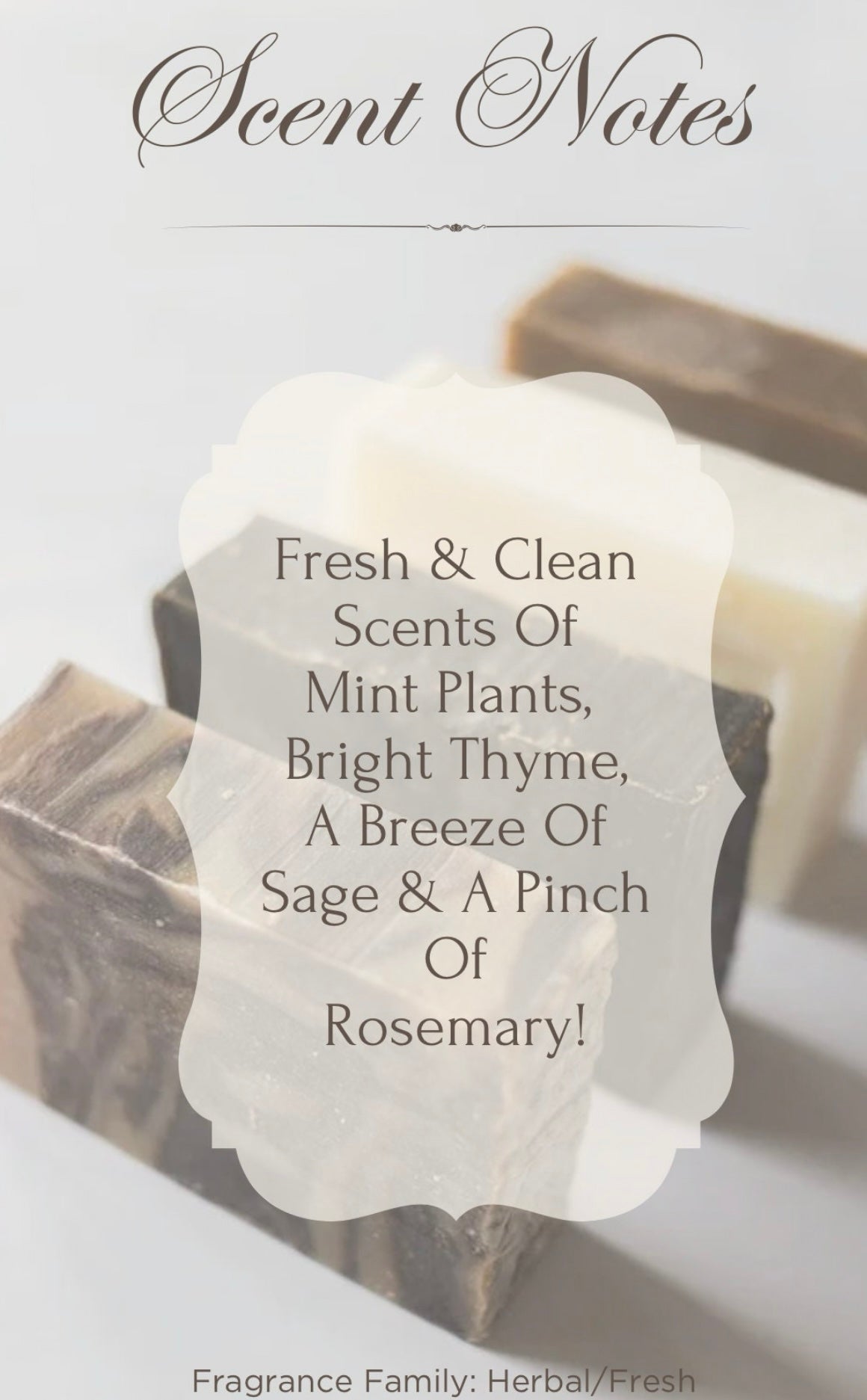 Groovy Gardener Soap-Herbal Scented Soap Bars, Apothecary + Natural Bar Soap, Plant Lovers, Self-Care, Outdoors Vibe