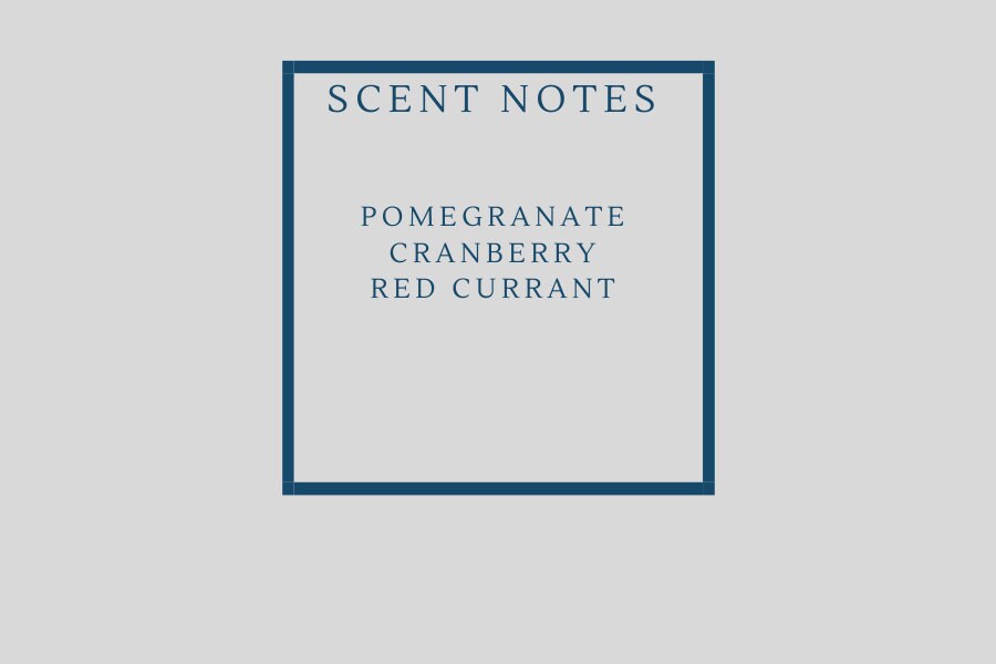 Pom Diggity Soap-Pomegranate Scented Bar Soaps, Holiday Vibes, Spiced Fruit Fragranced